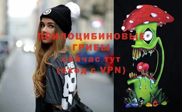 дмт Белоозёрский