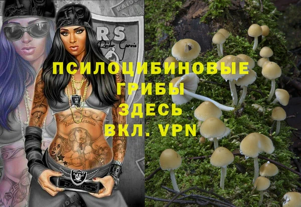 эйфоретик Белокуриха