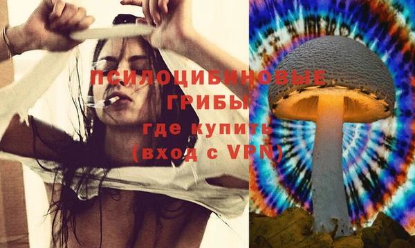 эйфоретик Белокуриха