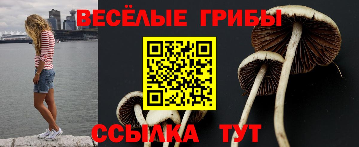 Галлюциногенные грибы прущие грибы  Вход с VPN  Обь  Псилоцибиновые грибы Cubensis 